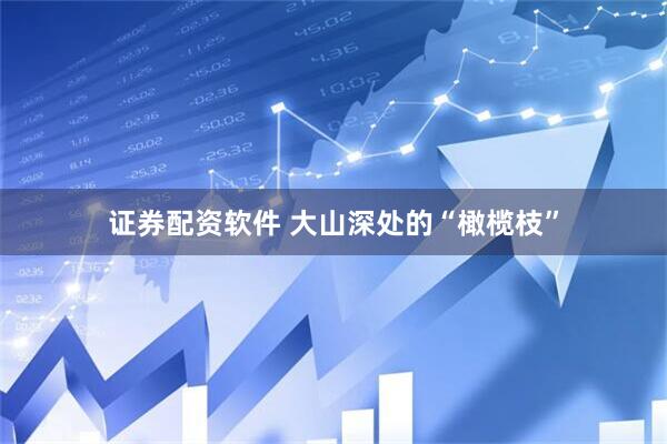 证券配资软件 大山深处的“橄榄枝”