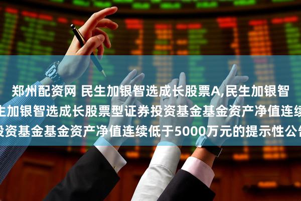 郑州配资网 民生加银智选成长股票A,民生加银智选成长股票C: 关于民生加银智选成长股票型证券投资基金基金资产净值连续低于5000万元的提示性公告